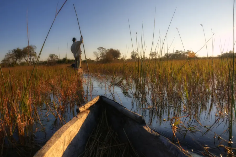 Avila reizen Botswana Okavanga delta boot excursie