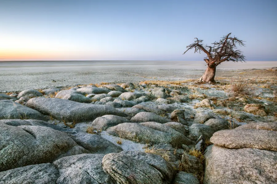 Avila reizen Botswana Okavanga delta landschap