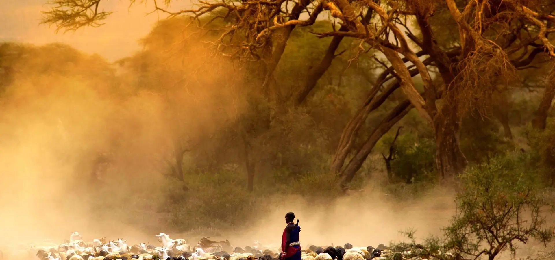 Avila Reizen Kenia Geiten masai