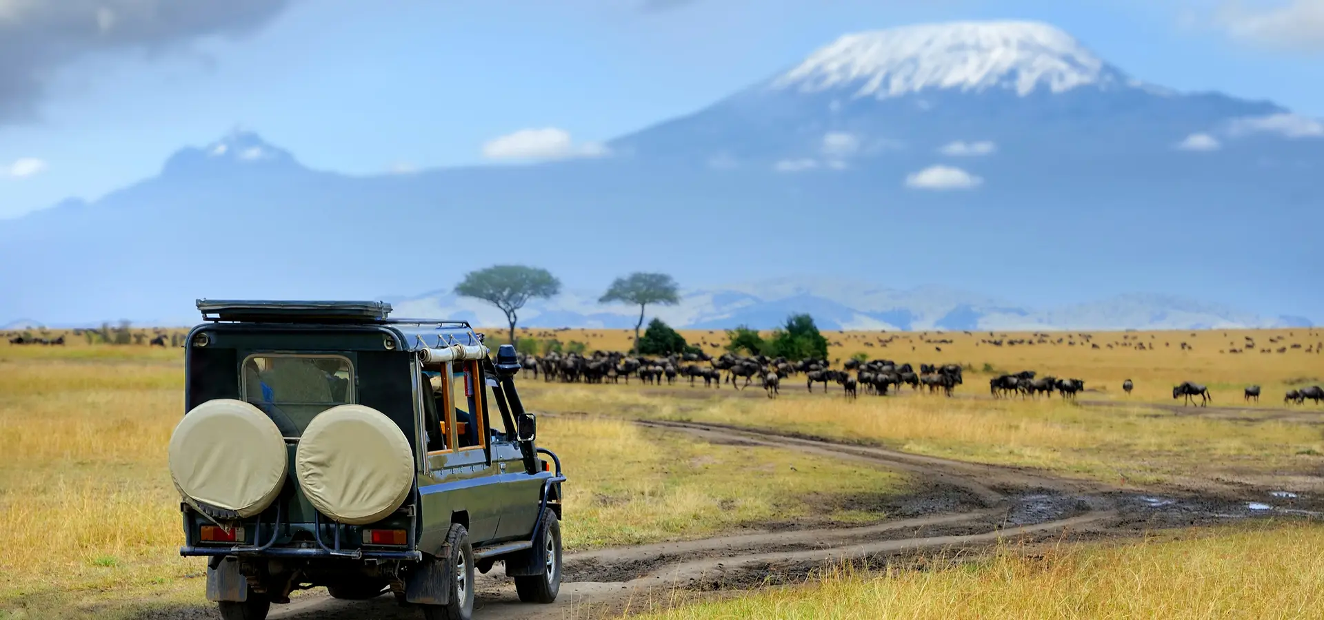 Avila Reizen Kenia Safari Auto
