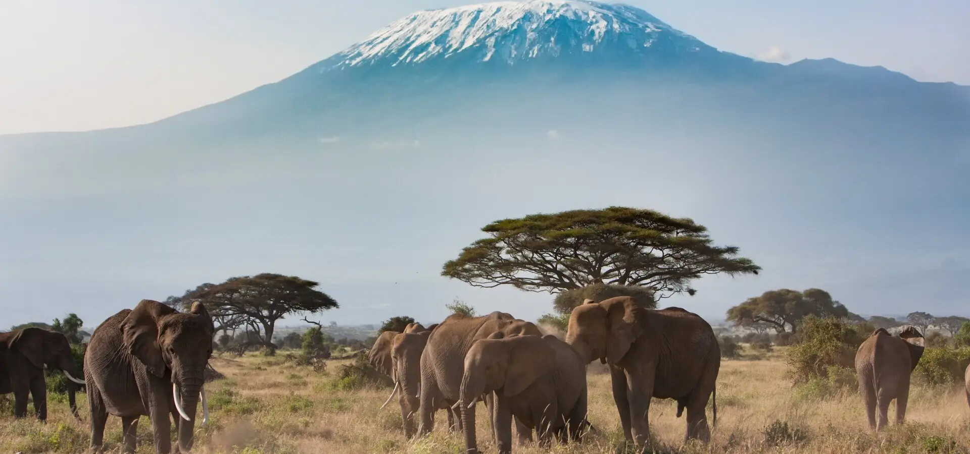 Avila Reizen Kenia view