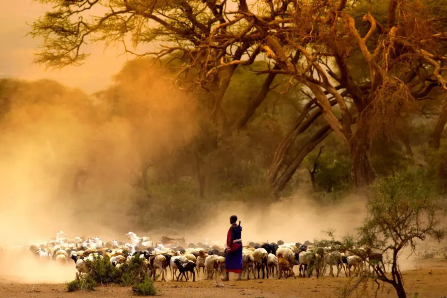 Avila Reizen Kenia Geiten masai