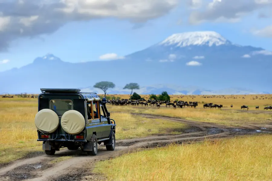 Avila Reizen Kenia Safari Auto