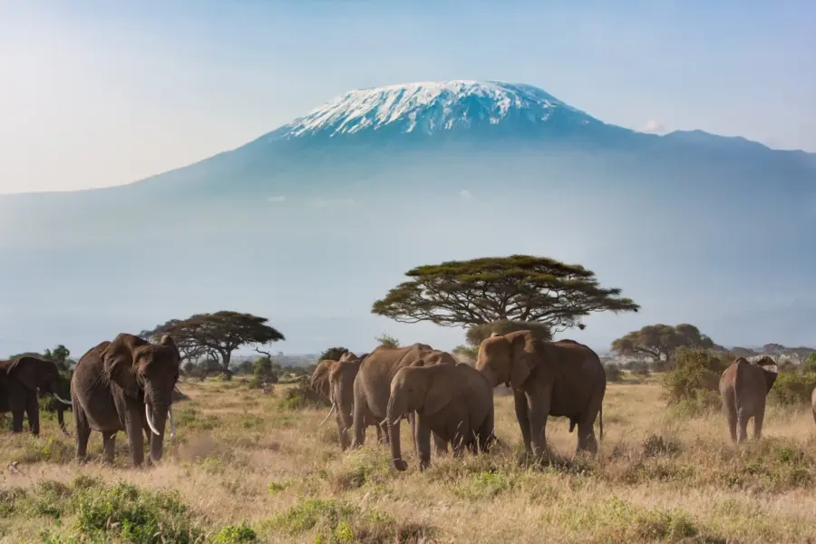 Avila Reizen Kenia view