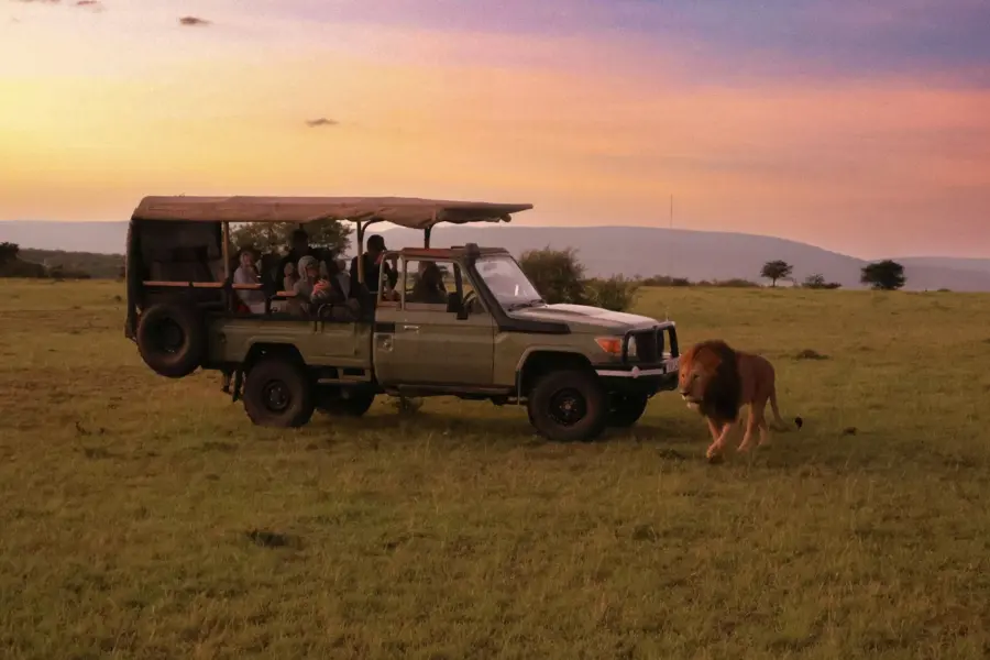 Avila Reizen Kenia Naboisho safari