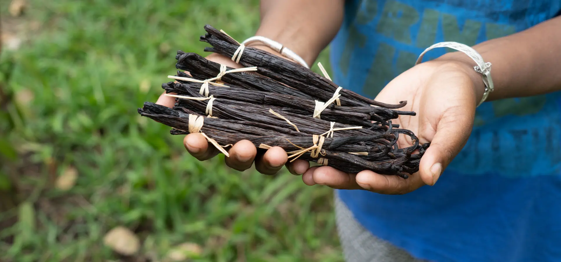 Avila Reizen Madagaskar Vanille gedroogd annemarie kleve