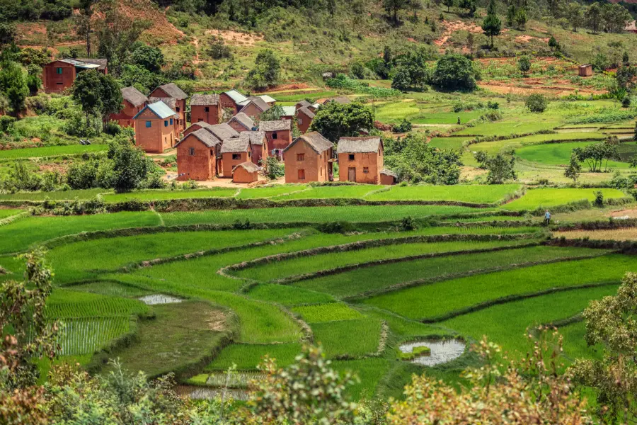 Avila Reizen madagaskar landschap