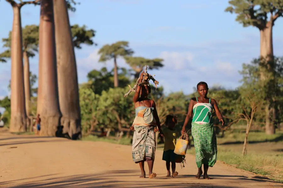 Avila Reizen madagaskar boabab avanue met dames