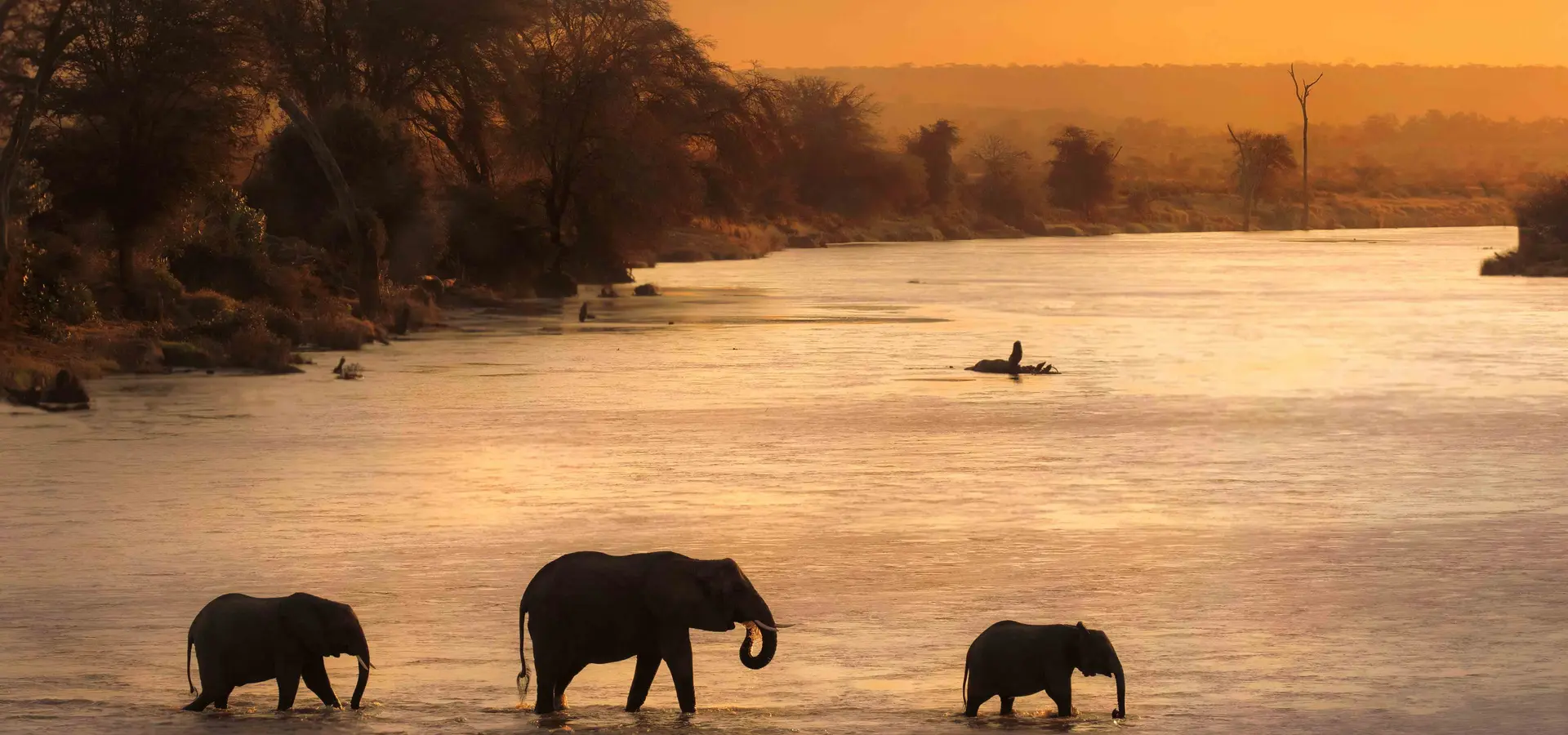 Avila Reizen Malawi in water olifanten
