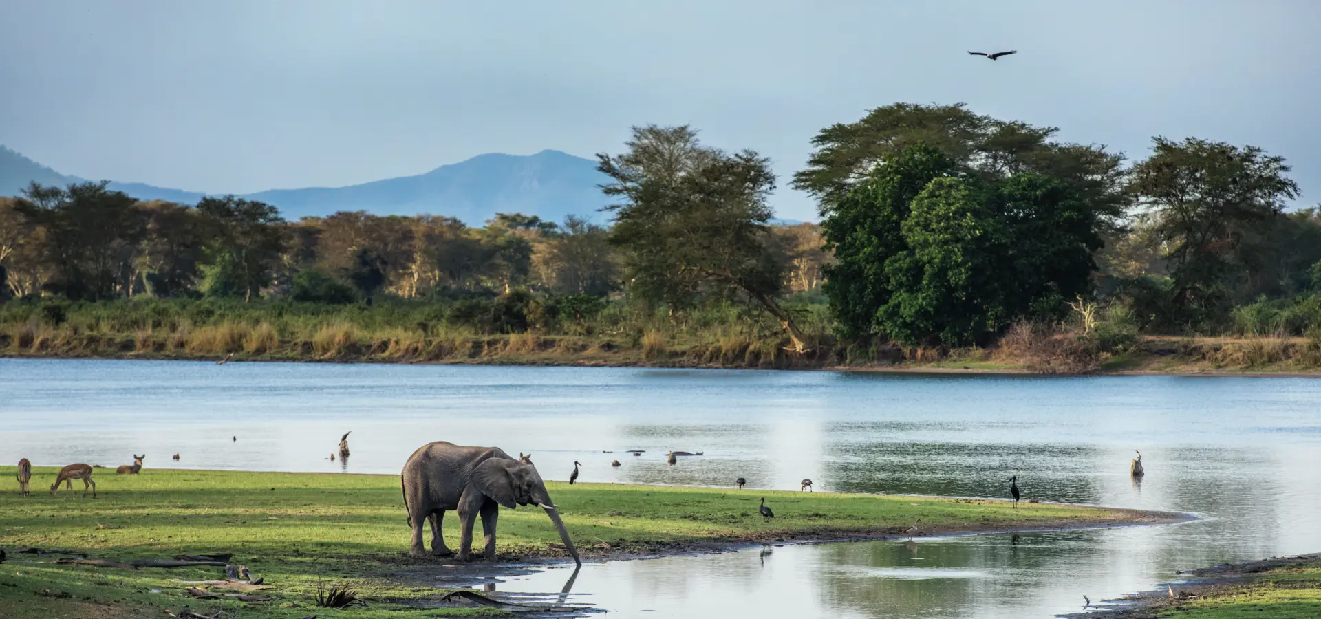Avila Reizen Malawi Raymond Rutting olifanten lake