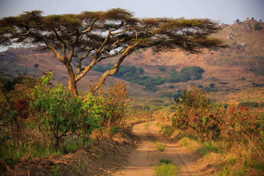 Avila Reizen Malawi Landscape in Nyika National Park Malawi