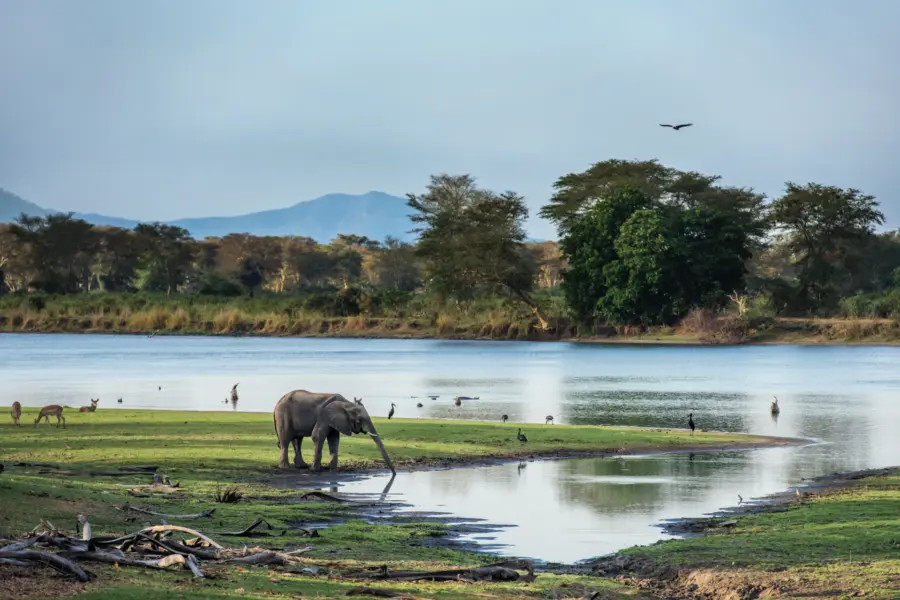 Avila Reizen Malawi Raymond Rutting olifanten lake