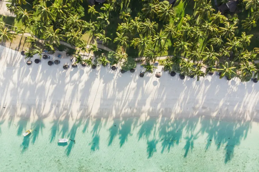Avila Reizen - Mauritius - beach - palmtree