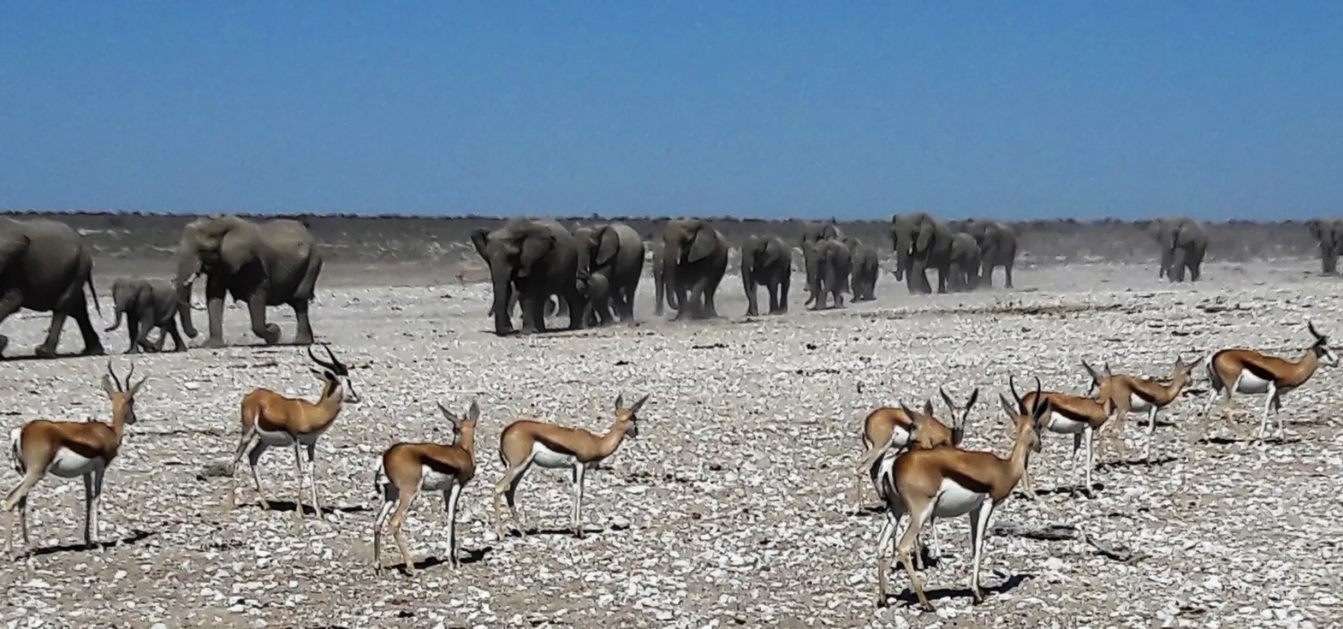 Avila Reizen Namibie Harrie Bouwmans Nam 020