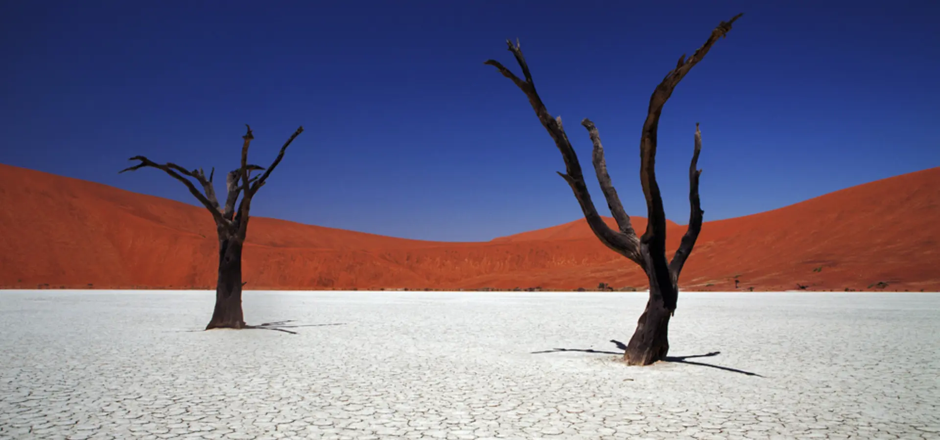 Avila Reizen Namibie Sossusvlei kopie