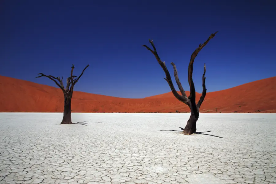 Avila Reizen Namibie Sossusvlei kopie