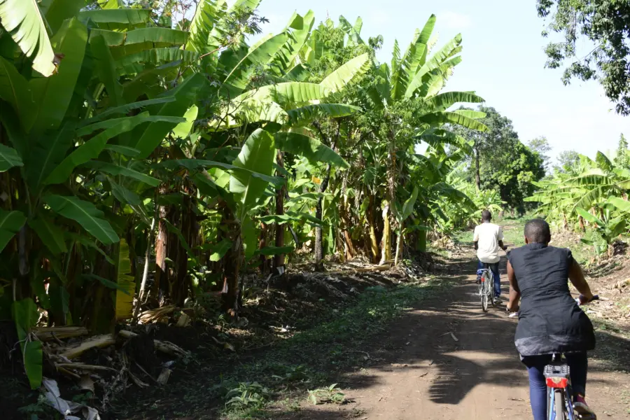 Avila Reizen Rwanda fiets excursie