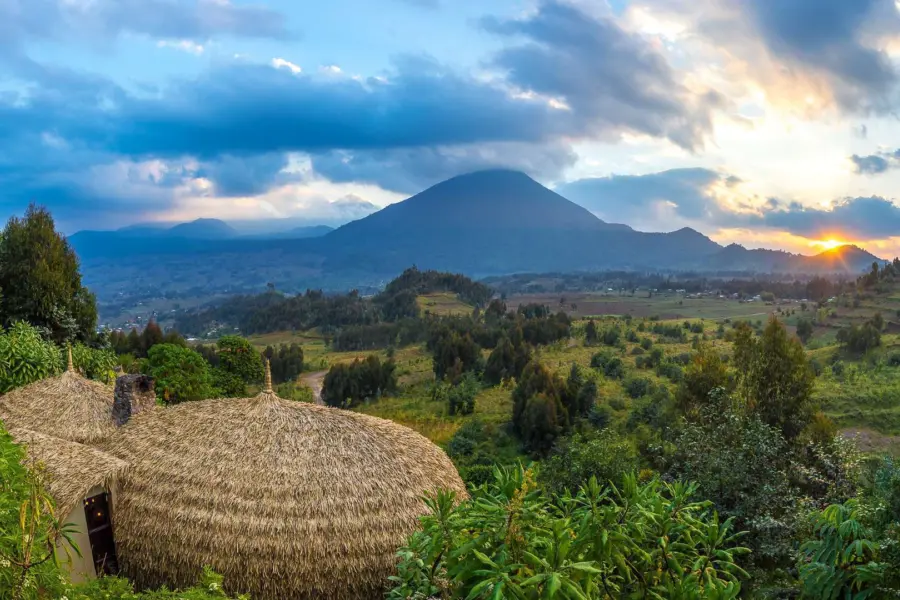 Avila Reizen Rwanda large focal Bisate 2019 6