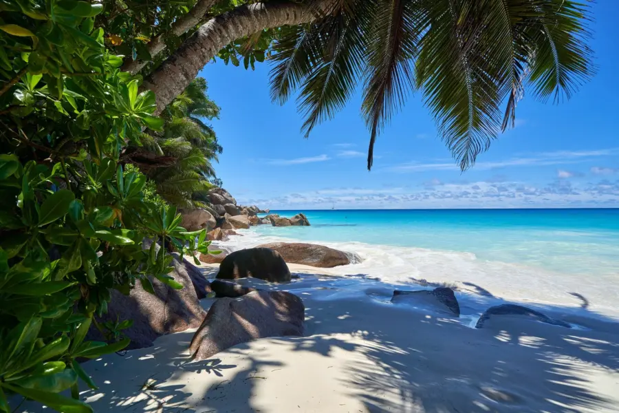 Avila Reizen Seychellen strand