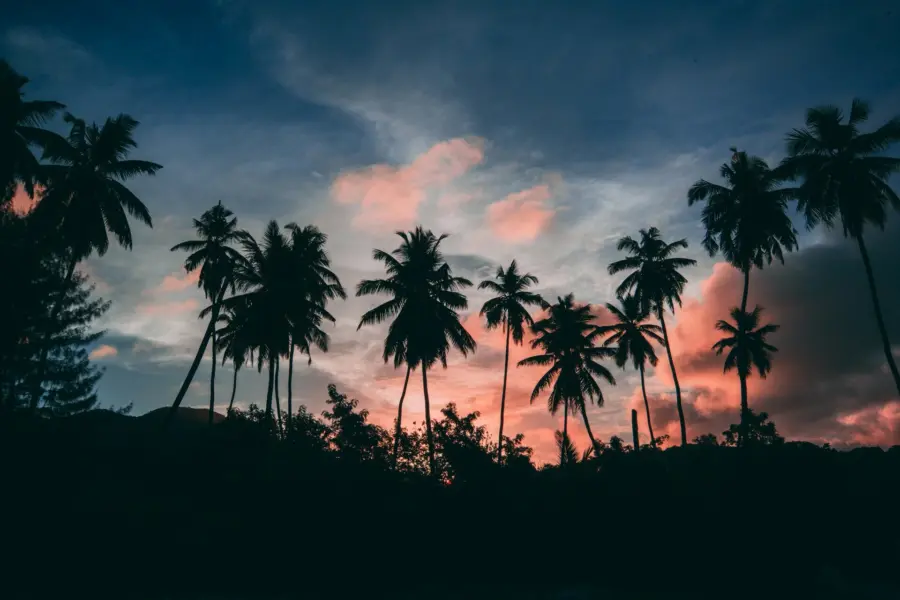 Avila Reizen Seychellen sunset