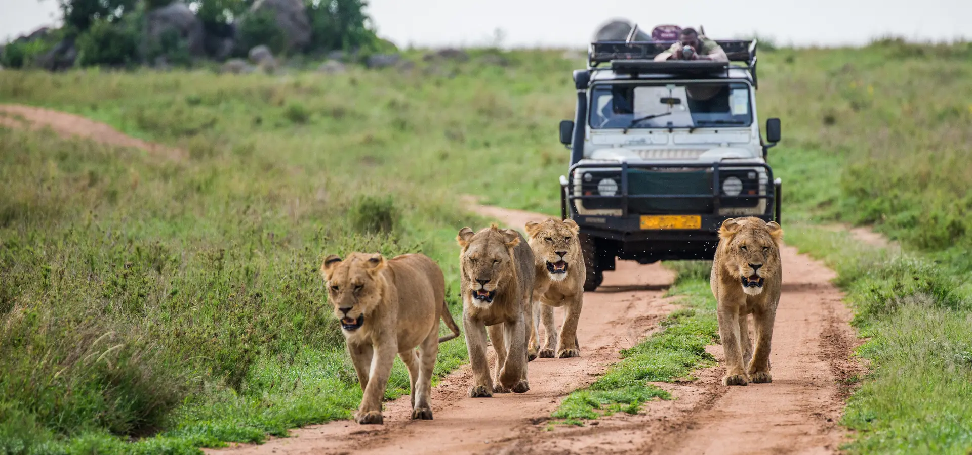Avila Reizen Tanzania gamedrive