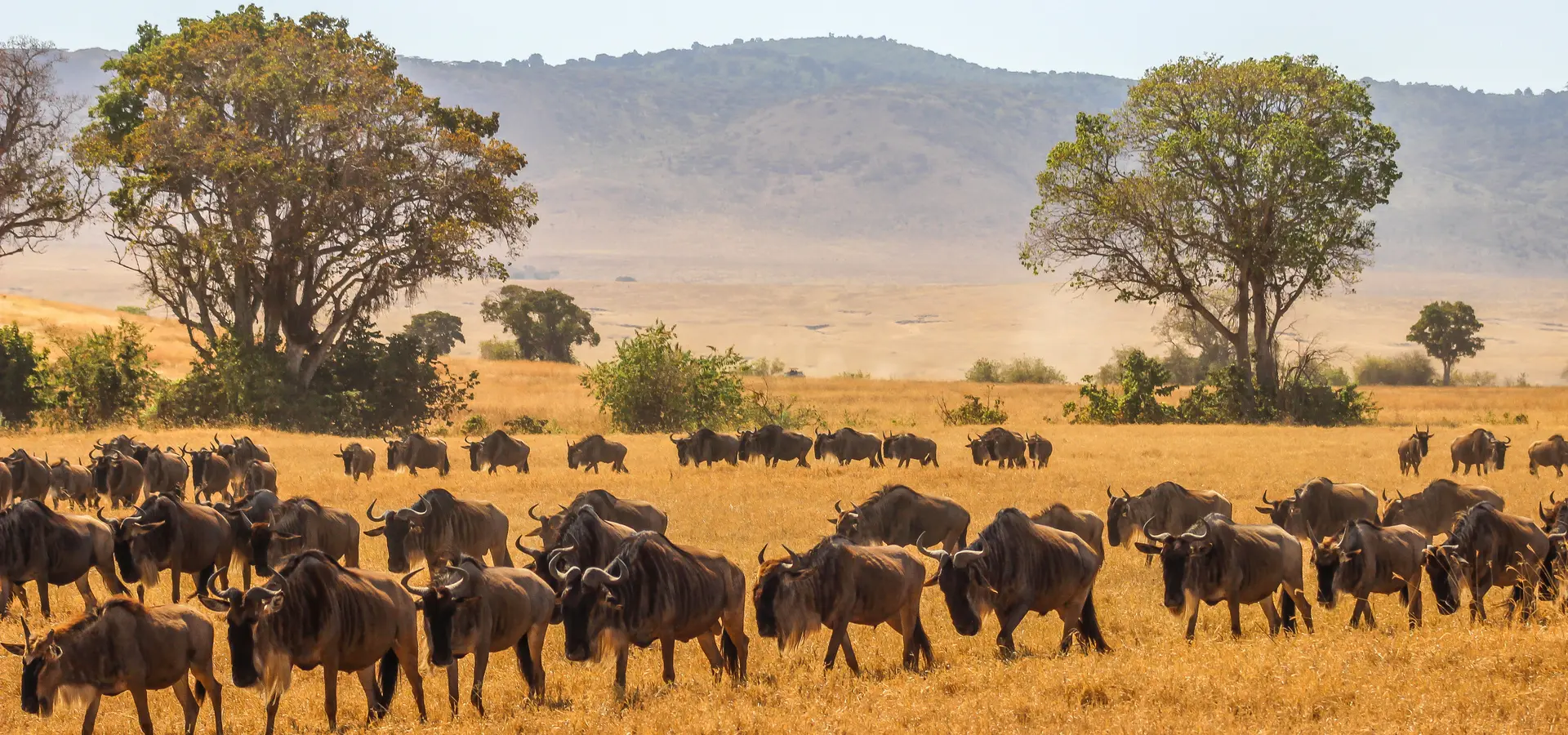 Avila Reizen Tanzania Waumans Tanzania 9