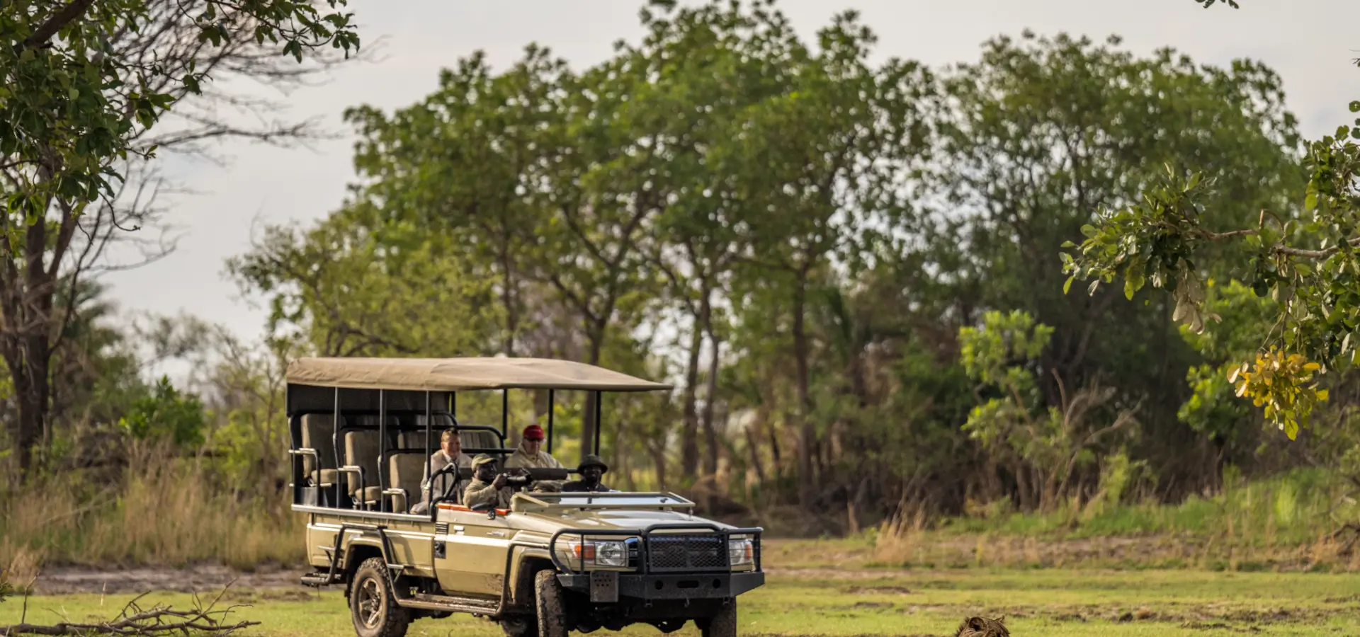 Biodiversity Conservation in Busanga Plains Kafue National Park Zambia Marcus Westberg 118