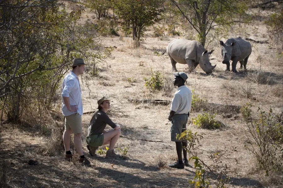 Avila Reizen Zambia African Bush Camps Thorntree 42