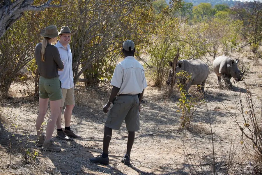 Avila Reizen Zambia African Bush Camps Thorntree 41