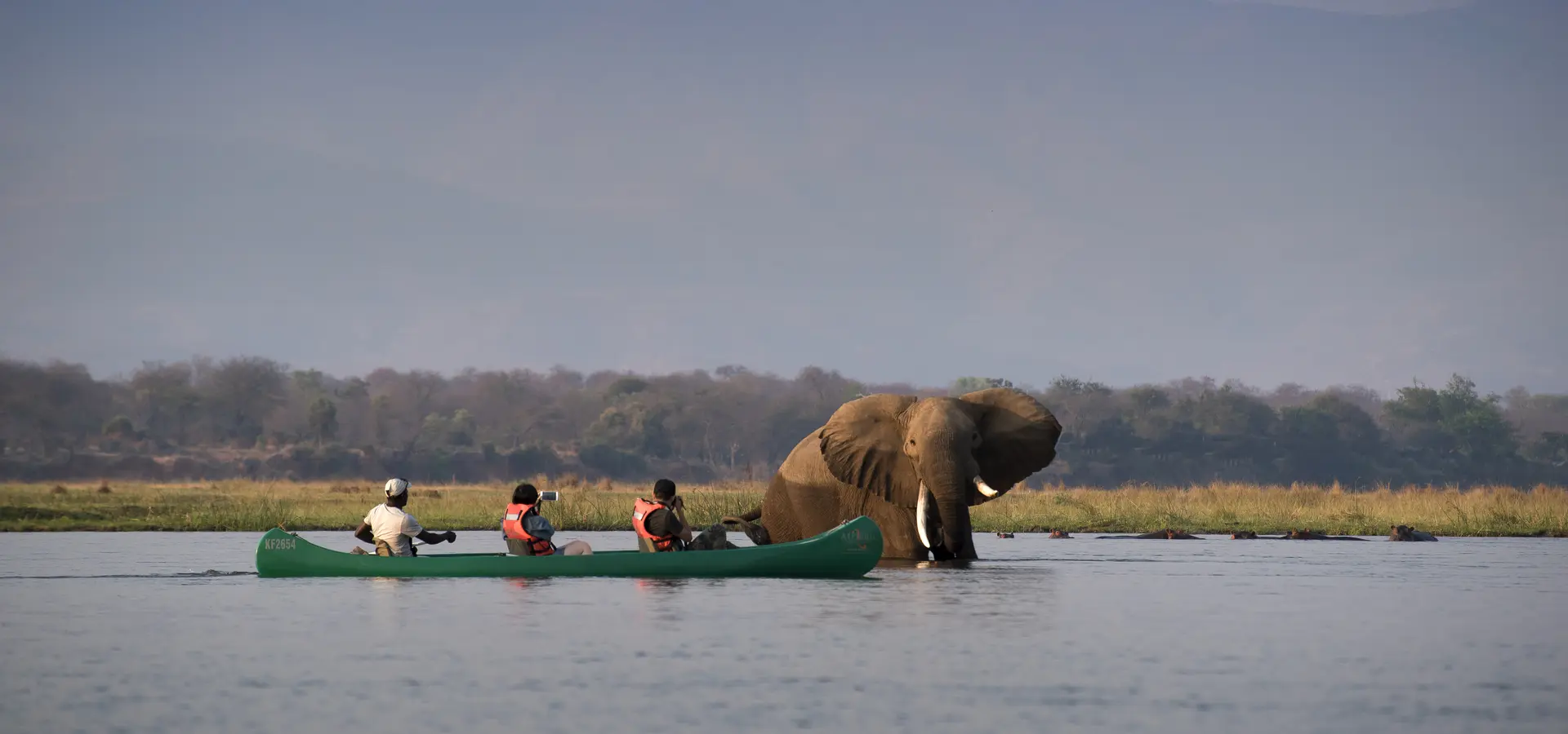 Avila Reizen Zimbabwe Mana Pools National Park Zimbabwe Safari Tented Camp African Bush Camps 130 Walking Safari