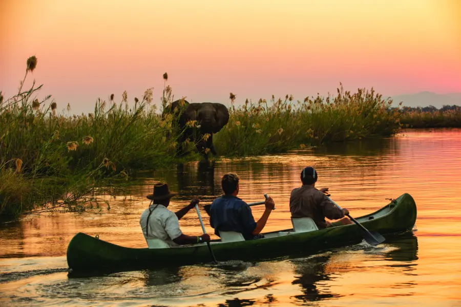 Avila Reizen Zimbabwe Great Plains Zimbabwe Tembo Plains 34