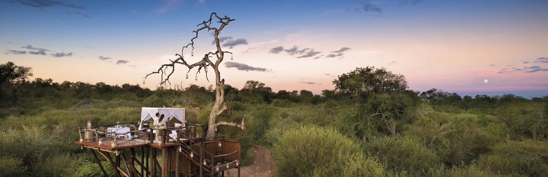 Avila Reizen Zuid Afrika tree house06 COMP22
