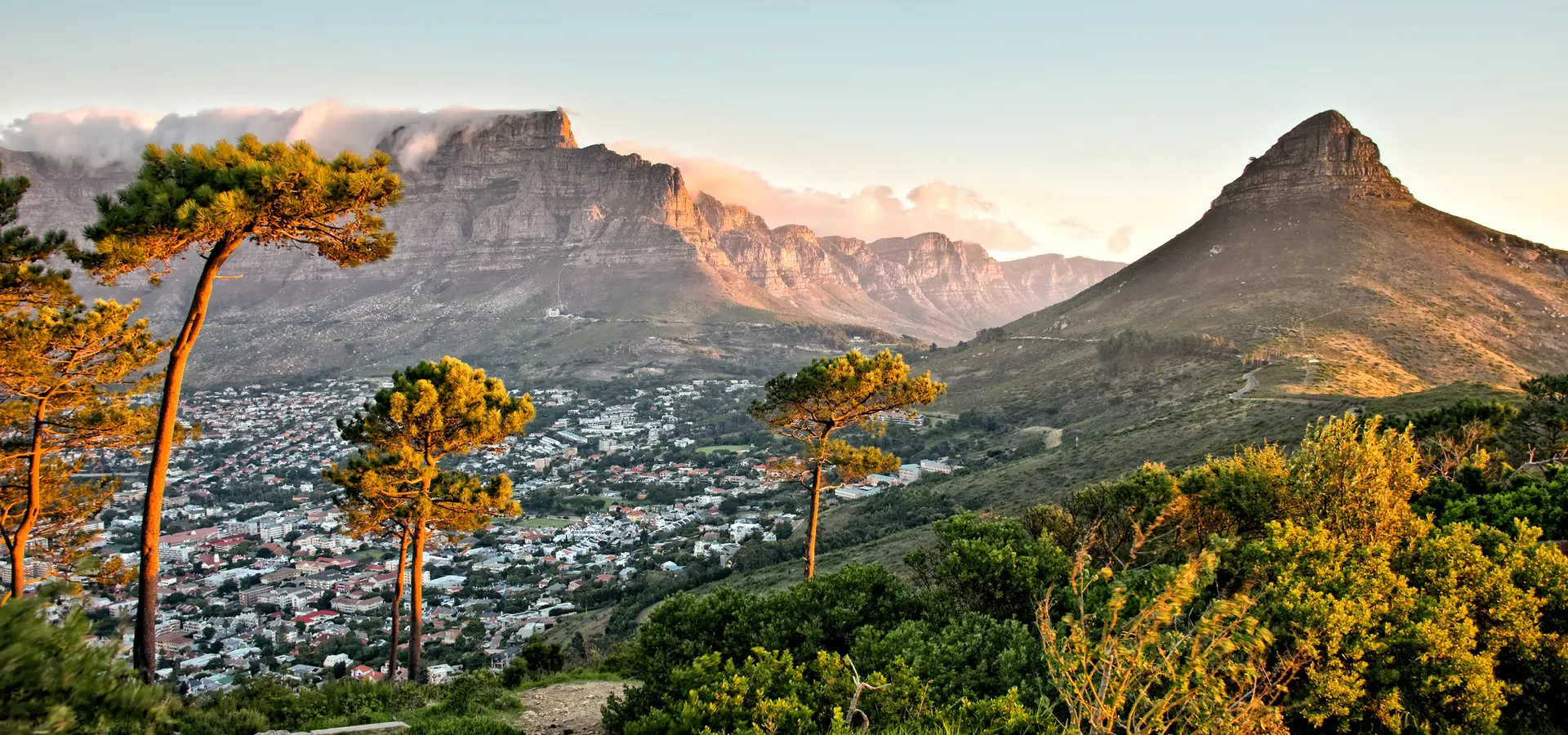 Avila Reizen Zuid Afrika aanzicht grootbos