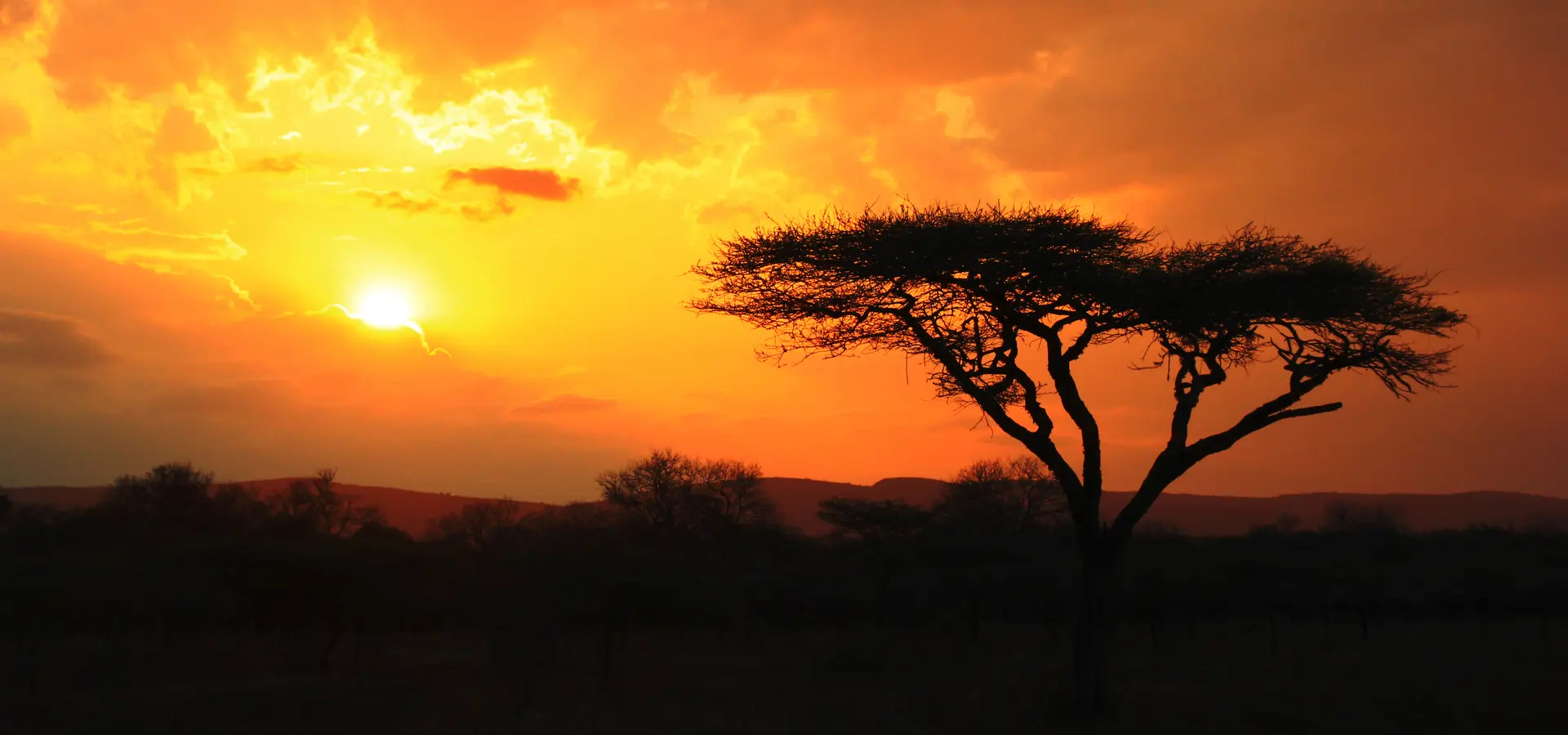 Avila Reizen Zuid Afrika Sun set