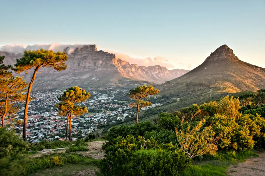 Avila Reizen Zuid Afrika aanzicht grootbos