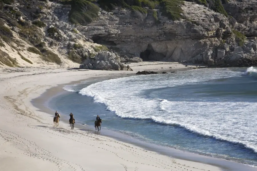 Avila Reizen Zuid Afrika Walker Bay Nature Reserve Near Gansbaai