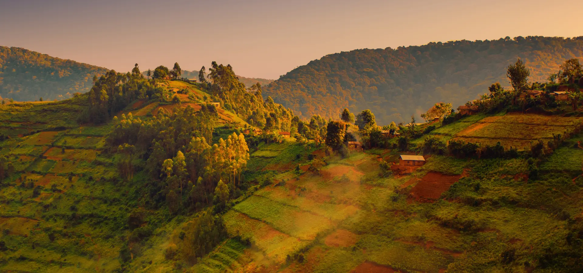 Avila Reizen Uganda landschap