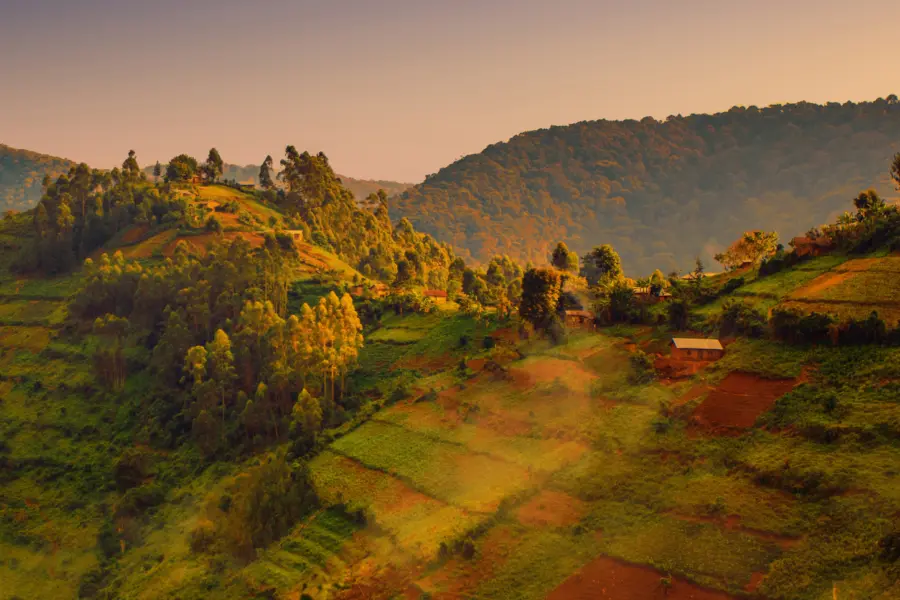 Avila Reizen Uganda landschap