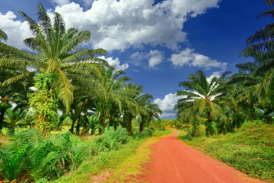 Avila Reizen Cambodja Adventure