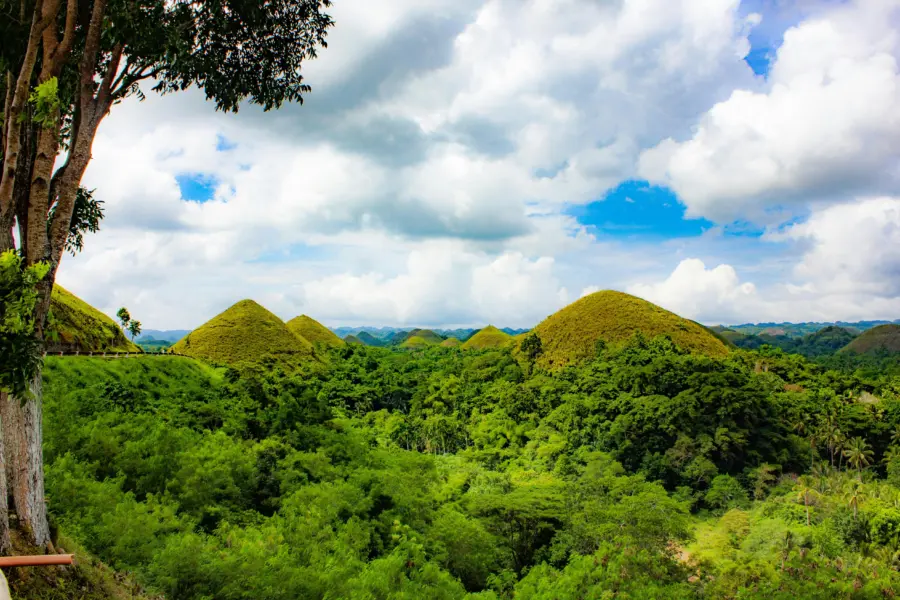 Avila Reizen Filipijnen Bohol Chocolate Hills