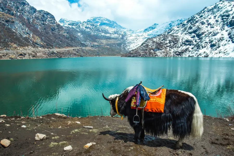 Avila Reizen India Sikkim Darjeeling