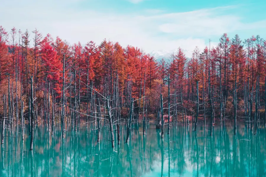 Avila Reizen Japan Hokkaido Blue Pond