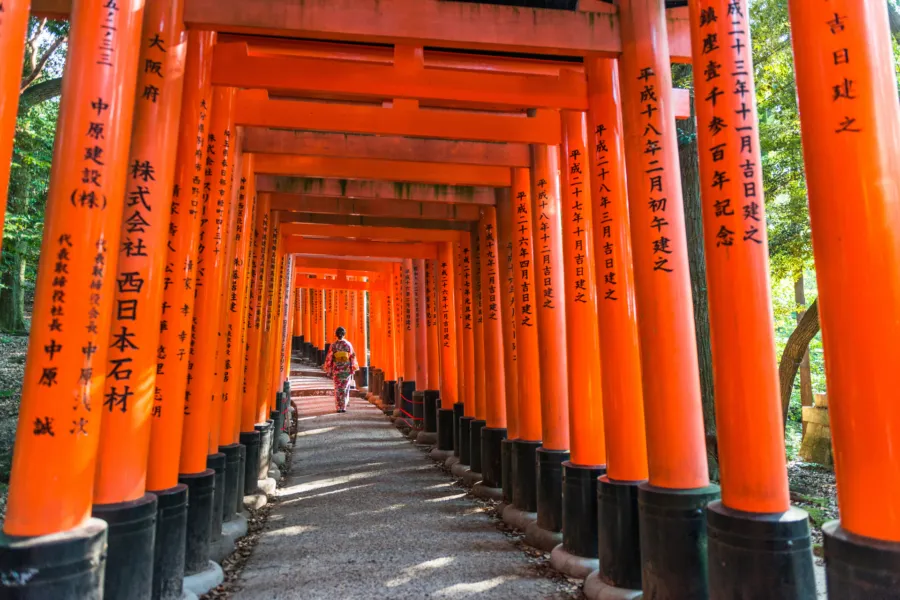 Avila reizen Japan Torii gates Fushimi Inari Shrine