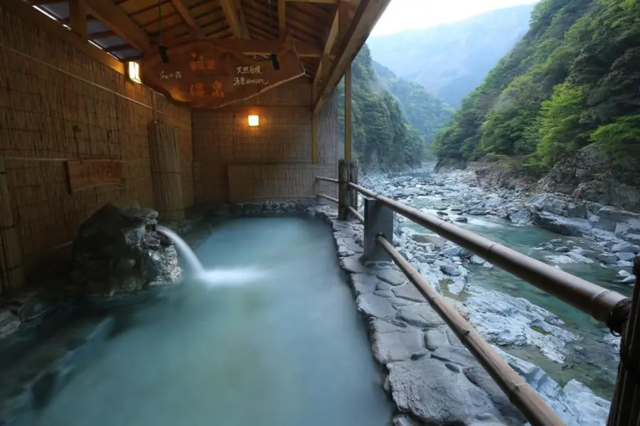 Avila Reizen Japan Wanoyado Hotel Iyaonsen