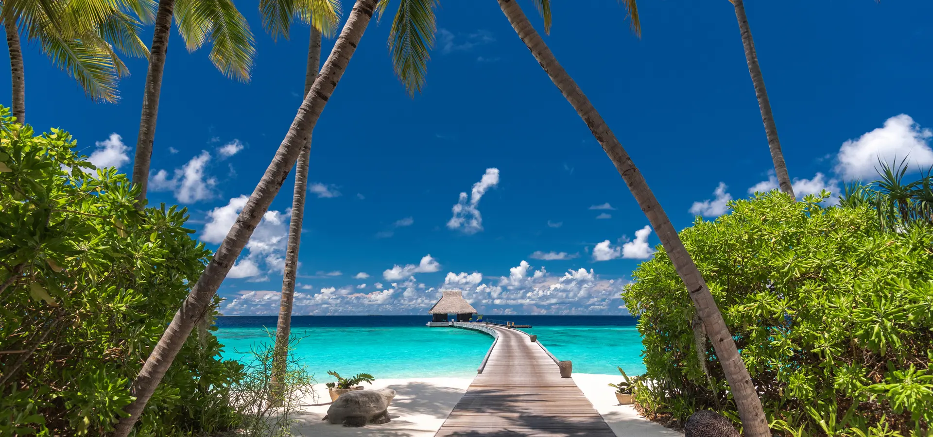 Avila Reizen Malediven Velaa Private Island Arrival