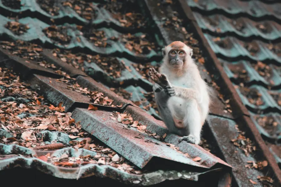 Job savelsberg o Nq6h5 Bp Ko Y unsplash