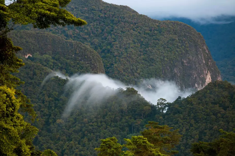 Avila Reizen Maleisie Exotic rainforest landscape from gunung mulu national park borneo malaysia