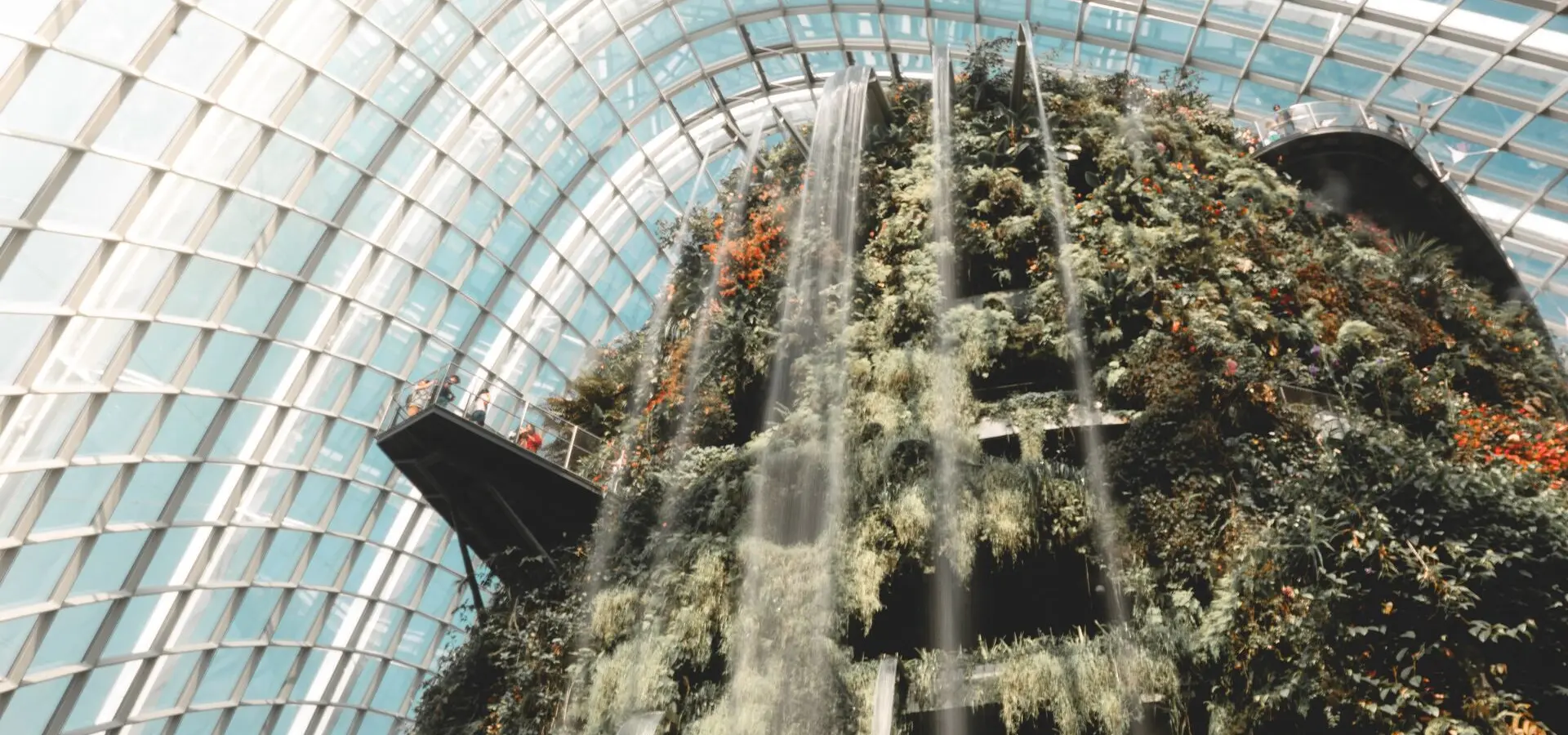 Avila Reizen Singapore Cloud Forest Singapore