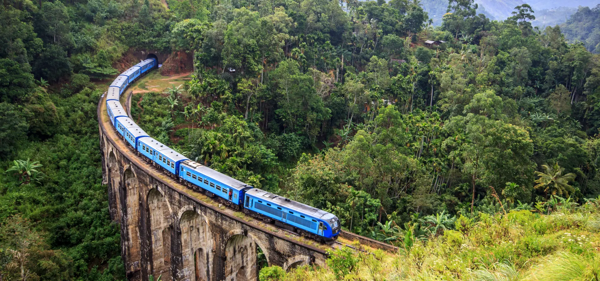 Avila Reizen Sri Lanka bluetrain