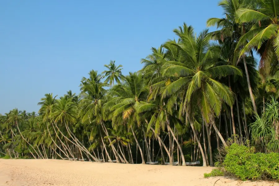 Avila Reizen Sri Lanka Sri Lanka beach